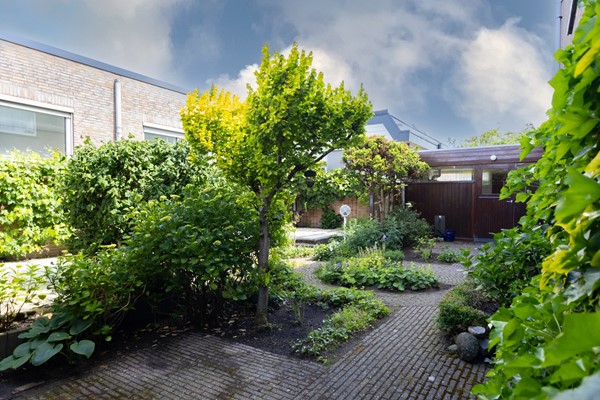 Tuin 1.jpg